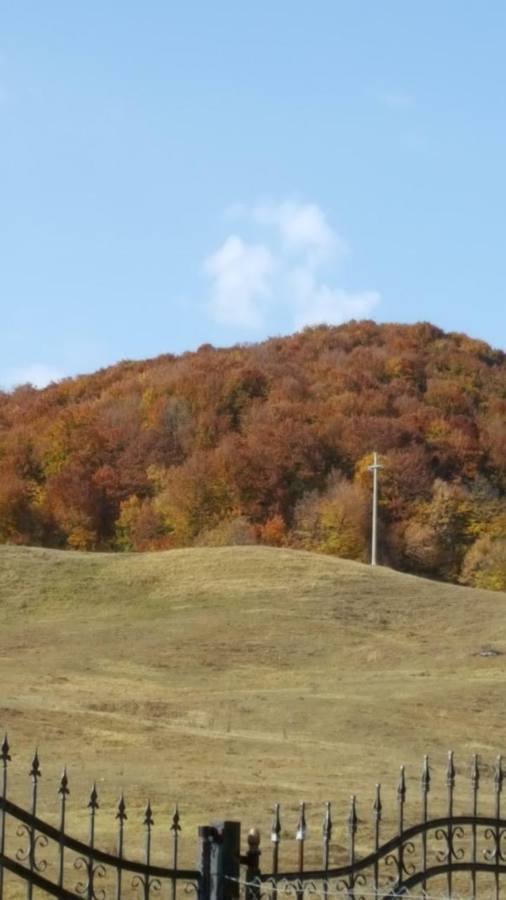 Cazare Popasul Drumetului Corbeni Dış mekan fotoğraf